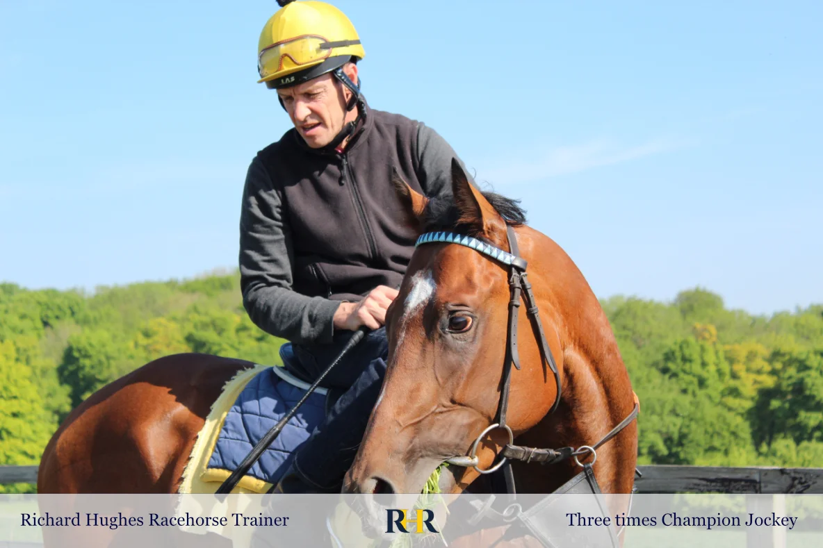 Racehorse Trainer in Lambourn, Berkshire – Horses in Training and Racehorse Ownership