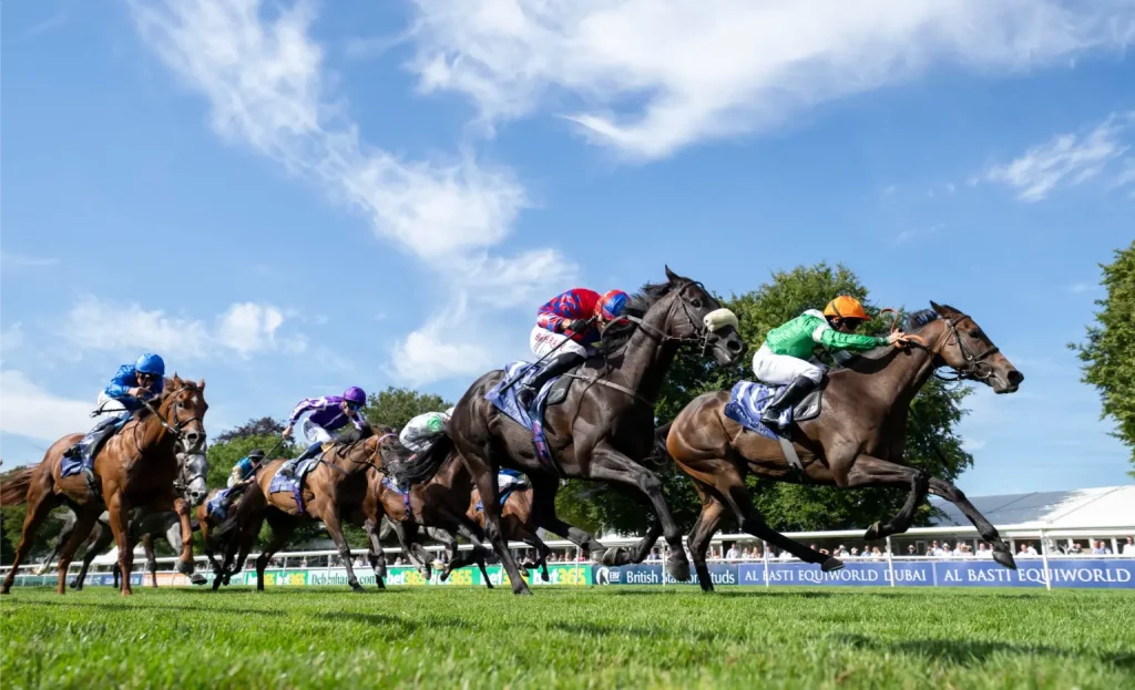 Richard Hughes Racing racehorse ownership UK and horse trainer (13)