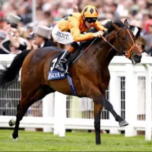 richard_riding.55dcb0892b3202cd57a734fcc3e01aba